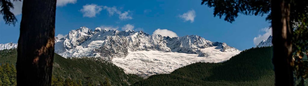 COP26 article - 1920x540